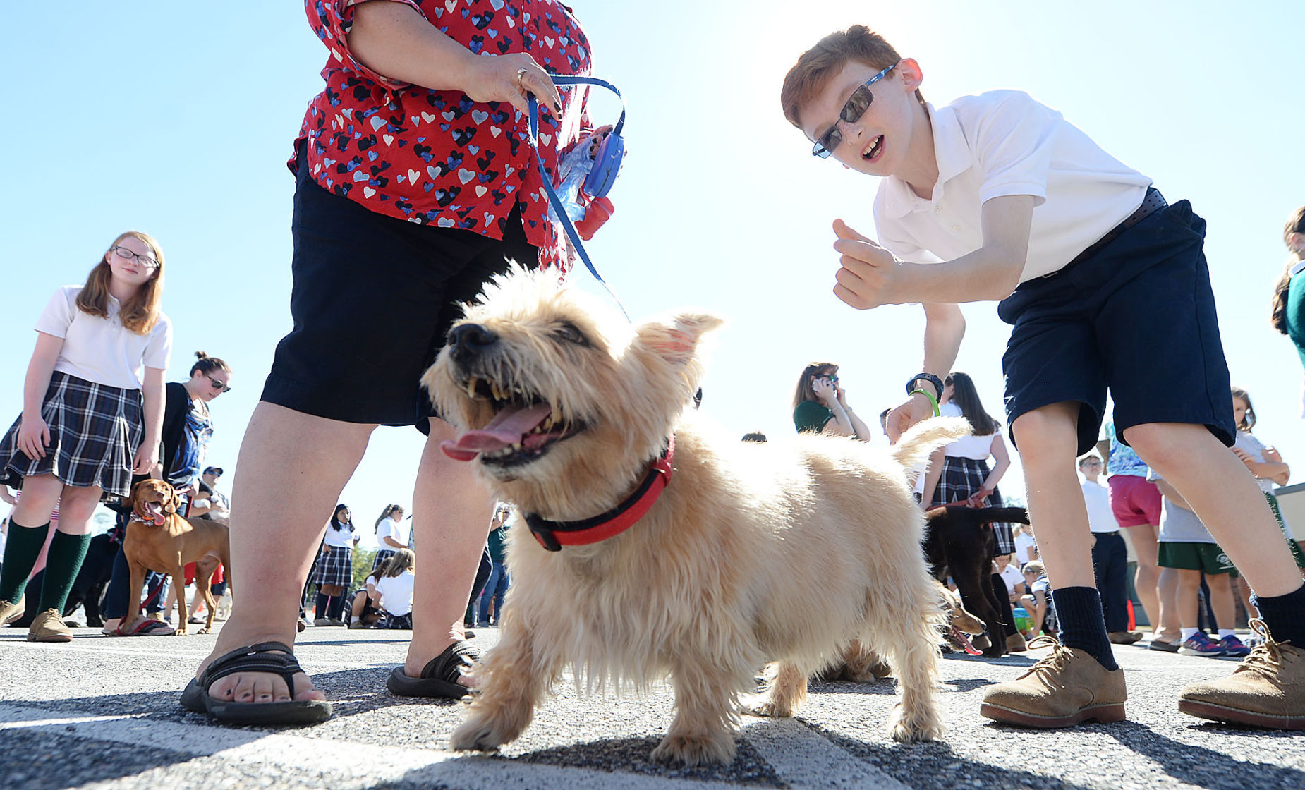 Saint Patrick School Pet Blessing